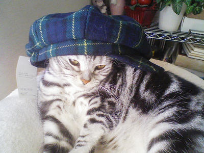 hat.jpg