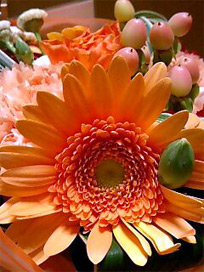 2007flowers.jpg