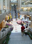 20080119142443.jpg