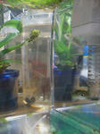 20080513204804.jpg