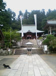20080716075222.jpg