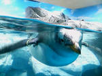 20080717135401.jpg