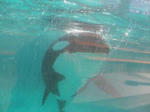 20080717145103.jpg