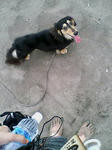 20080718171558.jpg