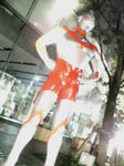 20081116183531.jpg