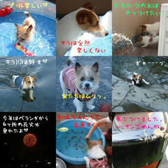 s-collage16.jpg