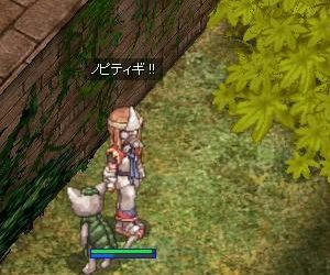 ノピティギ着地！