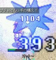 オットー海岸へ!