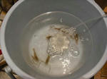 DSCF0011-1.jpg
