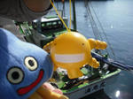 DSCF0048.jpg