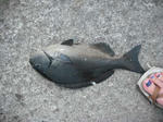 DSCF0058.jpg
