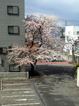 CA390413.jpg