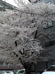 CA390418.jpg