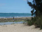 P2060015-1.jpg