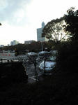 CA390708.jpg