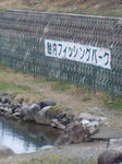 tainai.jpg