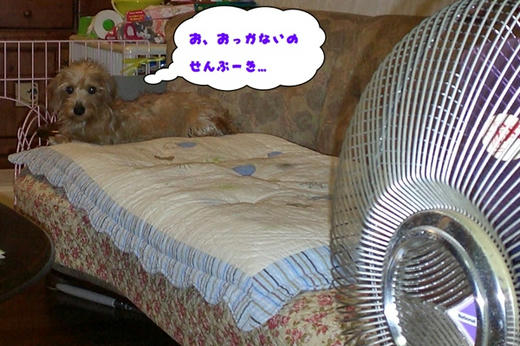 070631.jpg