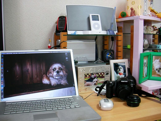 0708-7.jpg