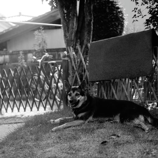 0708-31.jpg
