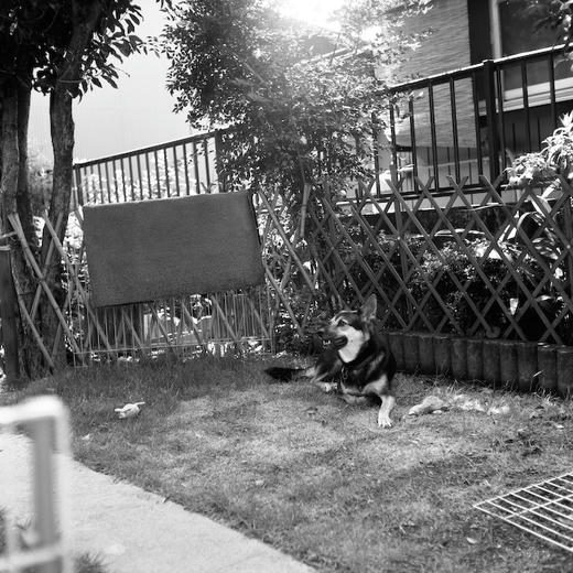 0708-32.jpg