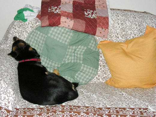 0710-24.jpg