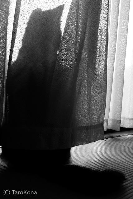 0804-28.jpg