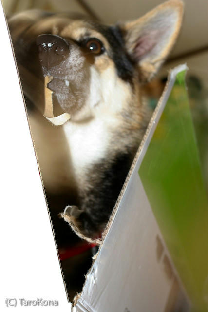 0805-06.jpg