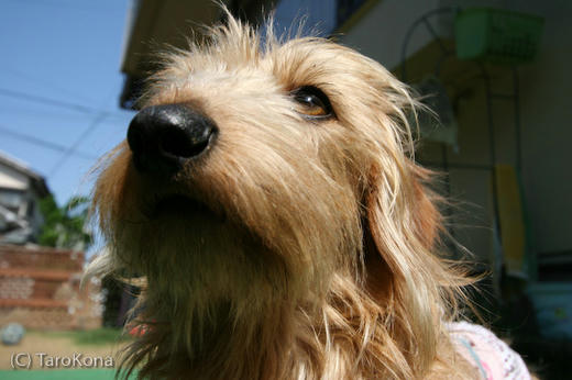 0805-09.jpg