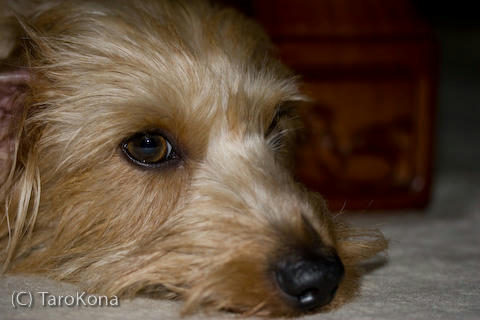 0806-34.jpg