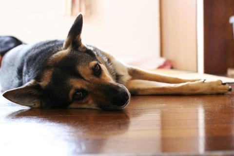 0807-04.jpg