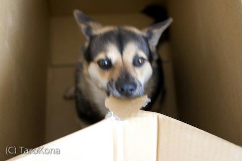 0807-17.jpg