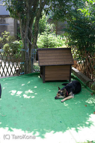 0807-12.jpg