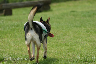 0807-24.jpg