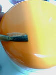 2008050120452.jpg