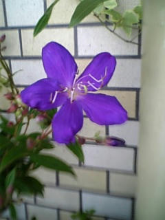 090907_102326.jpg