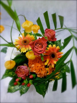P1000008.jpg