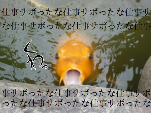 38209162_98823884.jpg