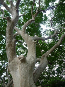 P1000057.jpg