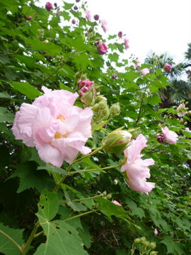 P1000039.jpg