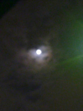 P1000079.jpg