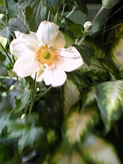 091004_133347.jpg
