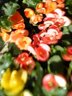 091004_132256.jpg