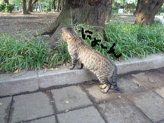 23915046_5359964s.jpg
