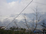 DSC02019.JPG