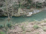 DSC02020.JPG