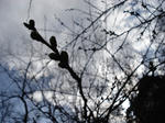 DSC02030.JPG