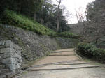 DSC02032.JPG