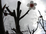 DSC02033.JPG