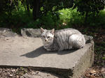DSC02038.JPG