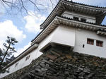 DSC02040.JPG